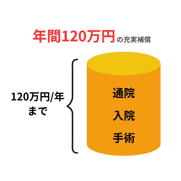年間120万円補償の図解