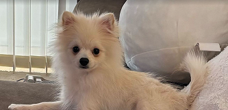 トゥーリちゃんとルッツくん