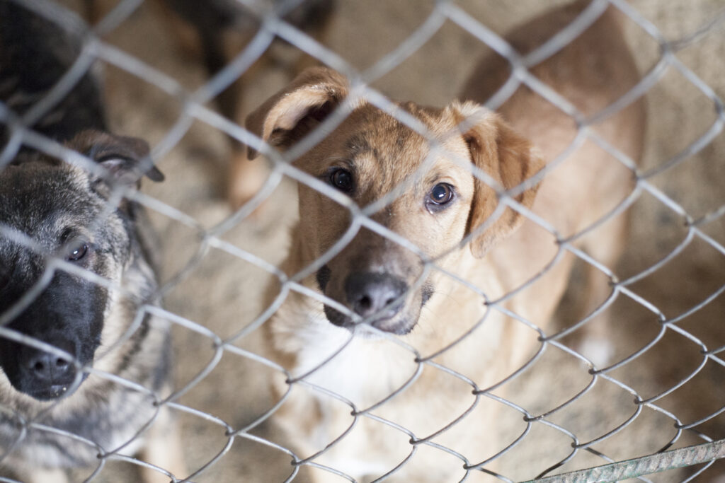 高額な医療費に悩むイメージ