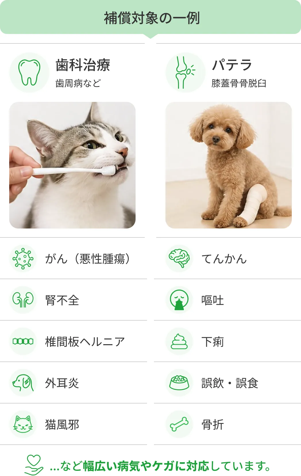 補償対象の一例（がん・てんかん・腎不全・椎間板ヘルニア・歯科治療・パテラ ほか）