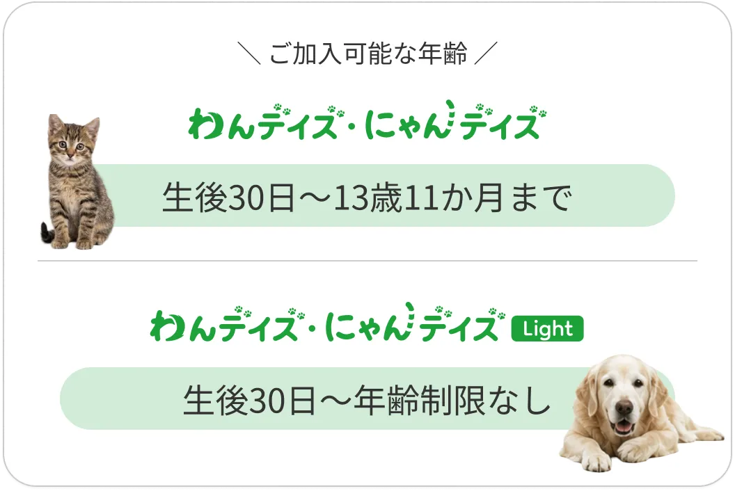 ご加入可能な年齢：わんデイズ・にゃんデイズは生後30日〜満11才11カ月、Lightは生後30日〜年齢制限なし