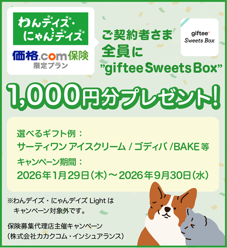 1000円プレゼント!