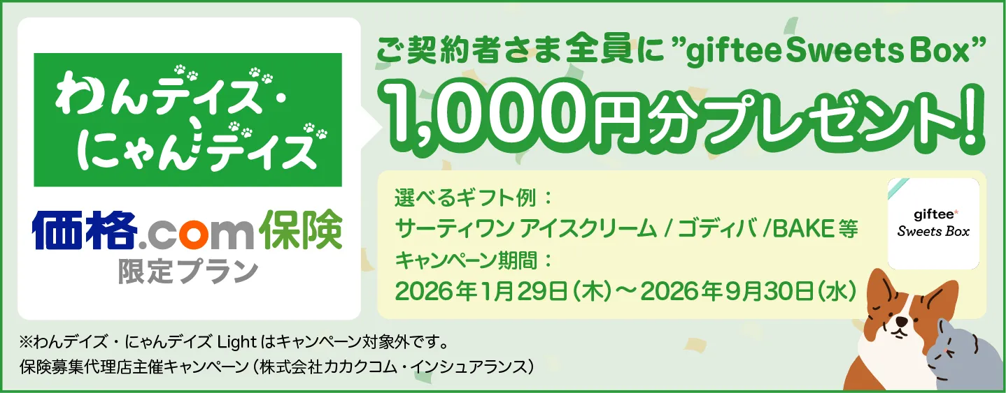 ご契約者さま全員に“gifteeSweetsBox”1,000円分プレゼント!
